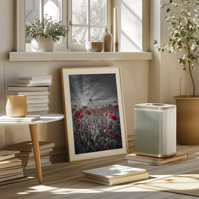 Gorgeous sunset in a poppy field | colorkey Poster