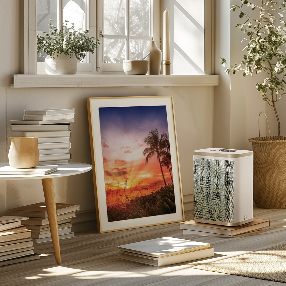 BONITA BEACH Picturesque Sunset Poster