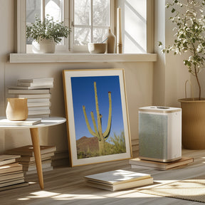 SAGUARO NATIONAL PARK Giant Saguaro Poster