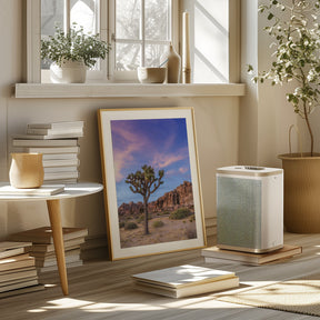 Joshua Tree Evening Atmosphere Poster