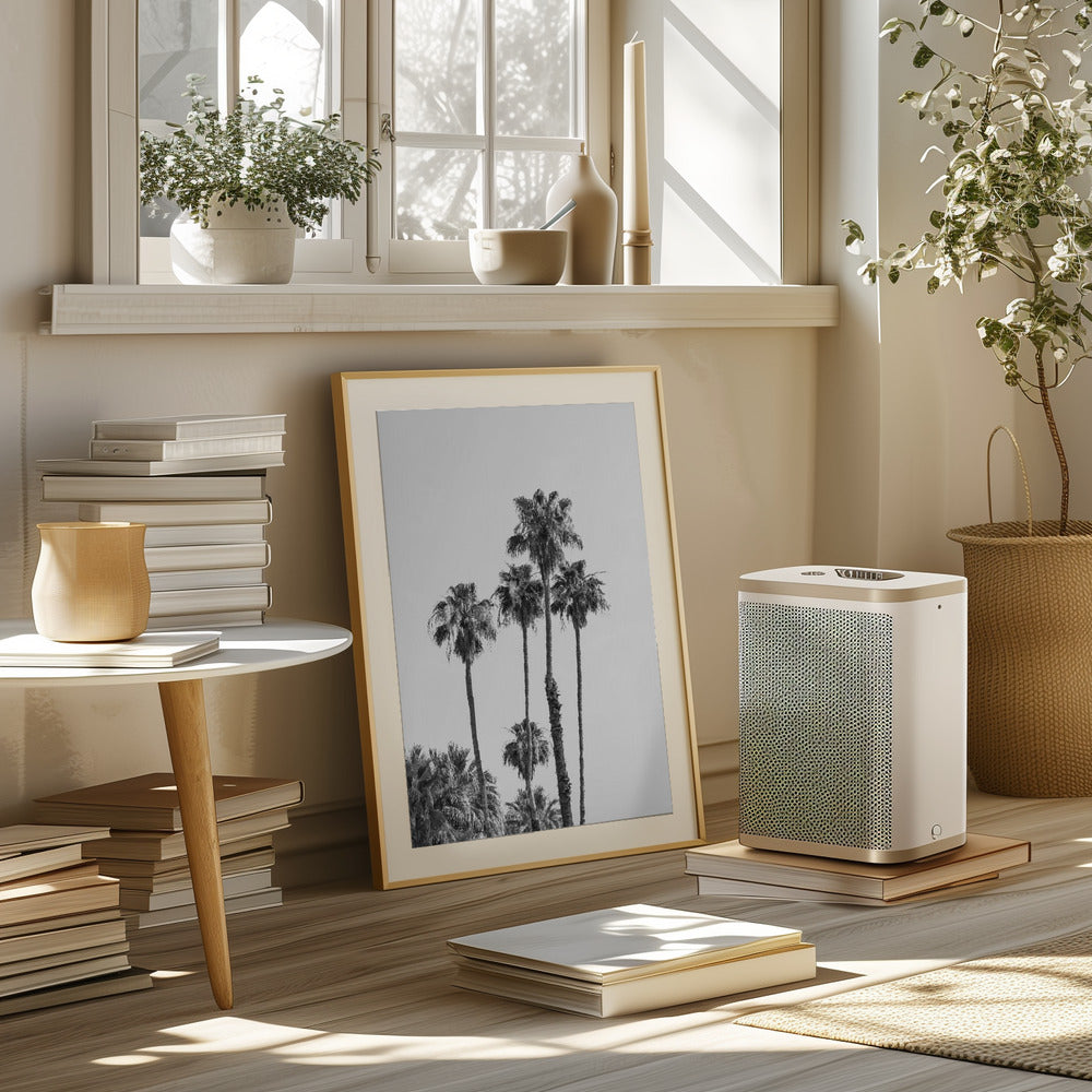 Palm trees | monochrome Poster