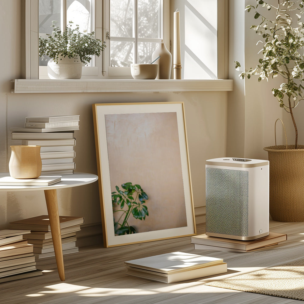 Botanical Oaxaca Scene | Mexico travel photography Poster