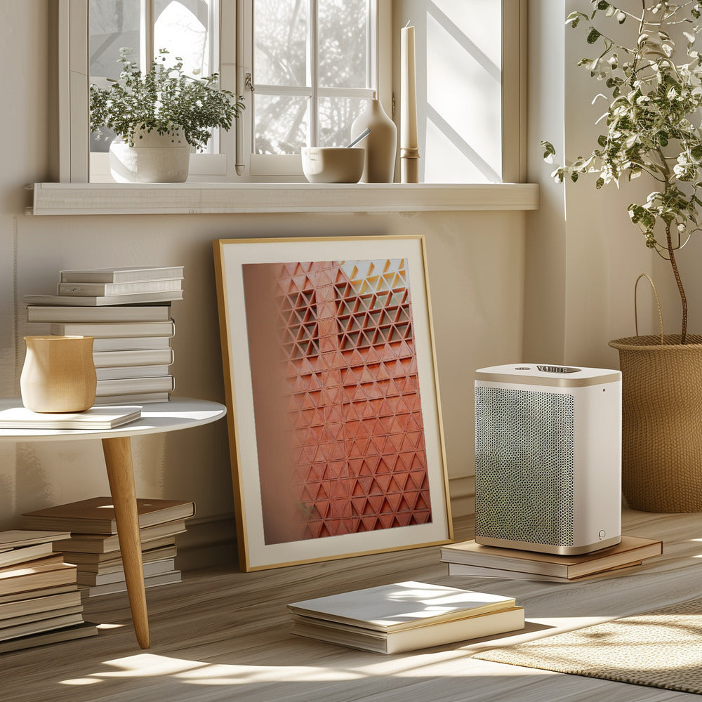 Coral details of Oaxacan Architecture in Mexico Poster