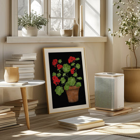 Red Geranium Poster