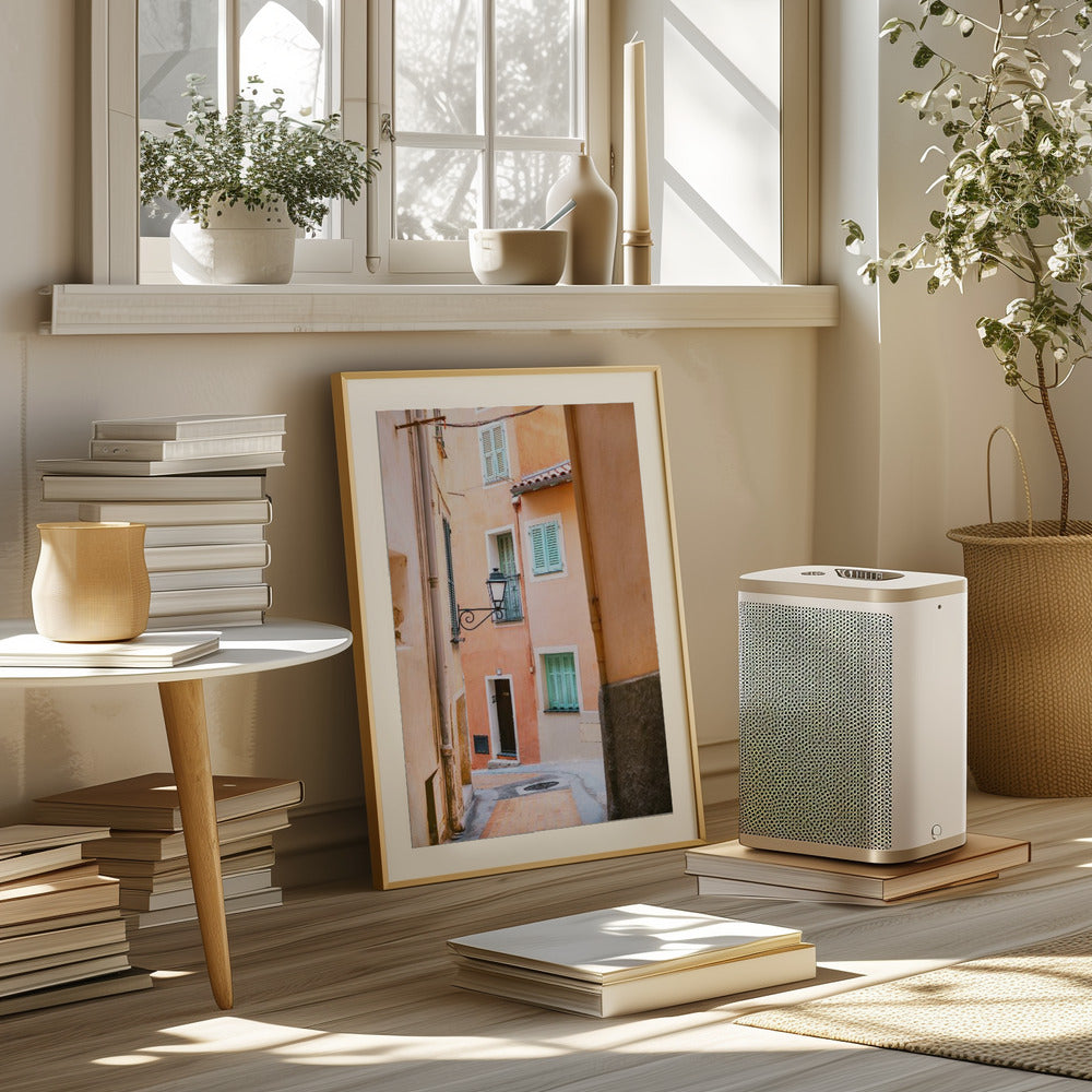 Coral Cote d Azur | Menton | South of France Poster