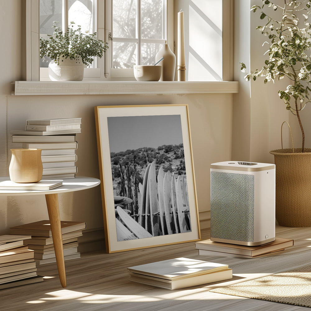 Surfboards in Black and White Poster