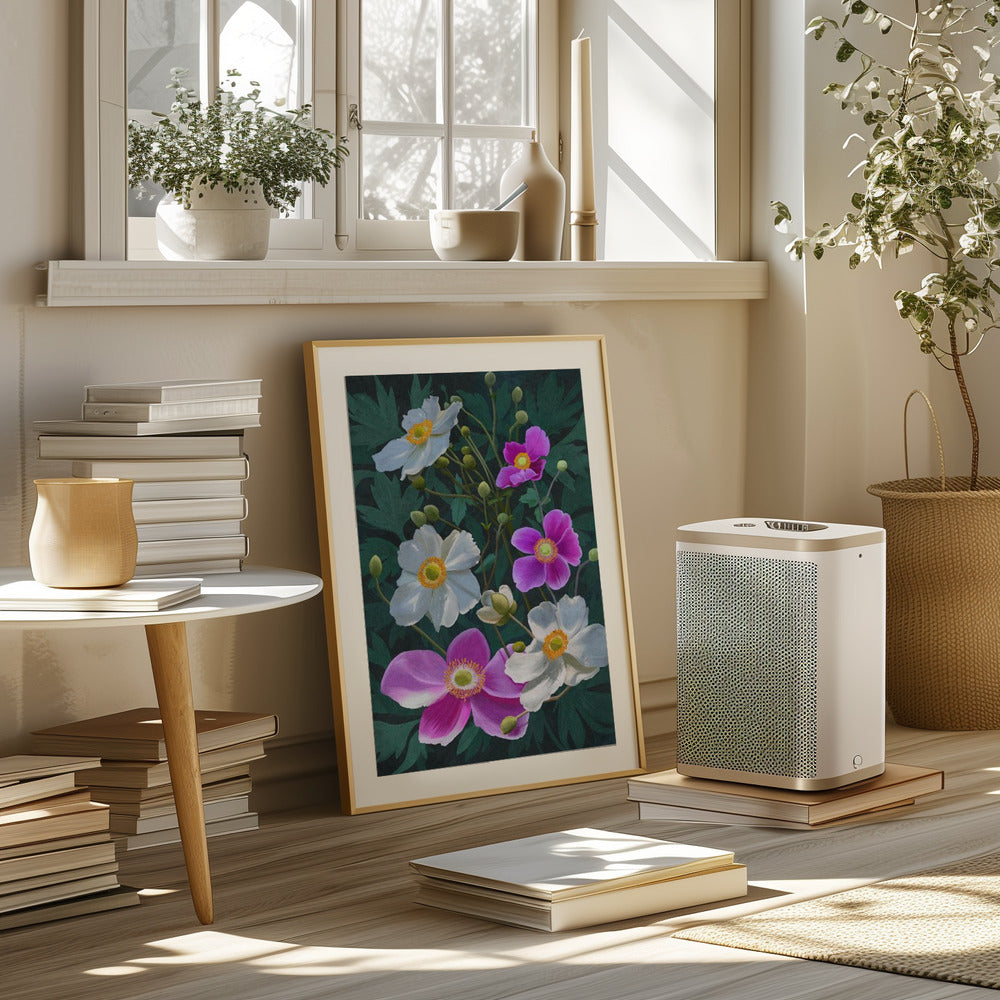 Anemone Flowers Poster