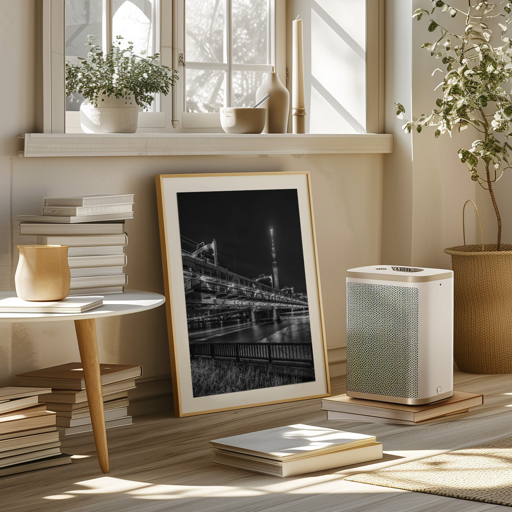 Tokyo Skytree with Sumida River Walk at night - monochrome Poster