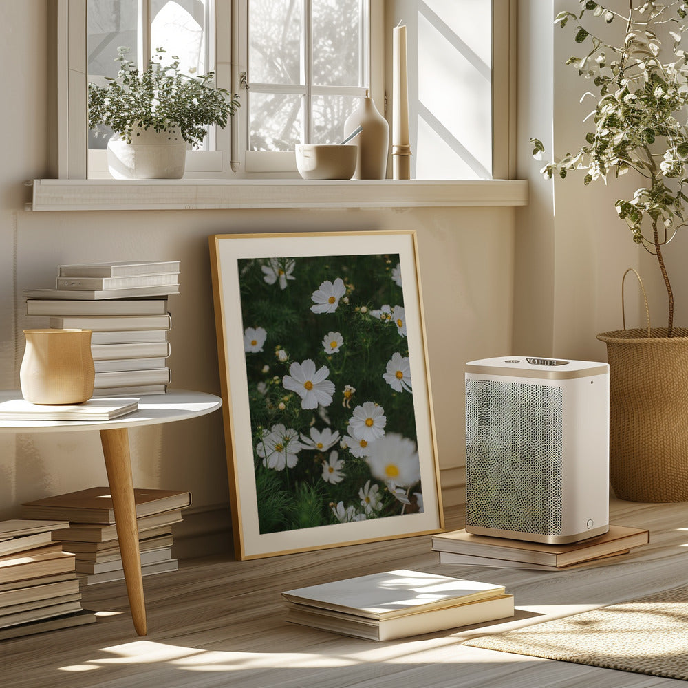 White Flowers Poster