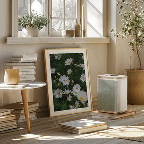 White Flowers Poster