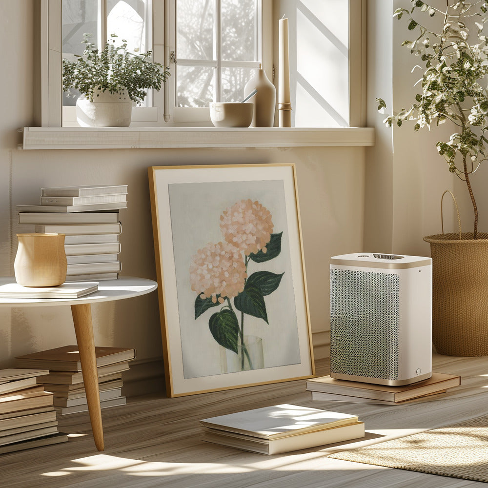 Coral hydrangeas in a vase Poster