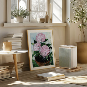 Potted pink hydrangeas Poster