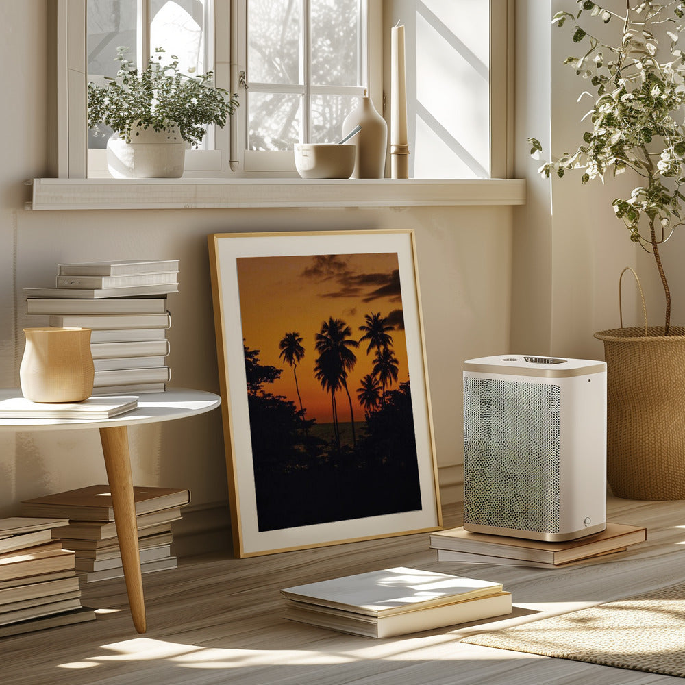 Squiggly Palm Sunset Poster