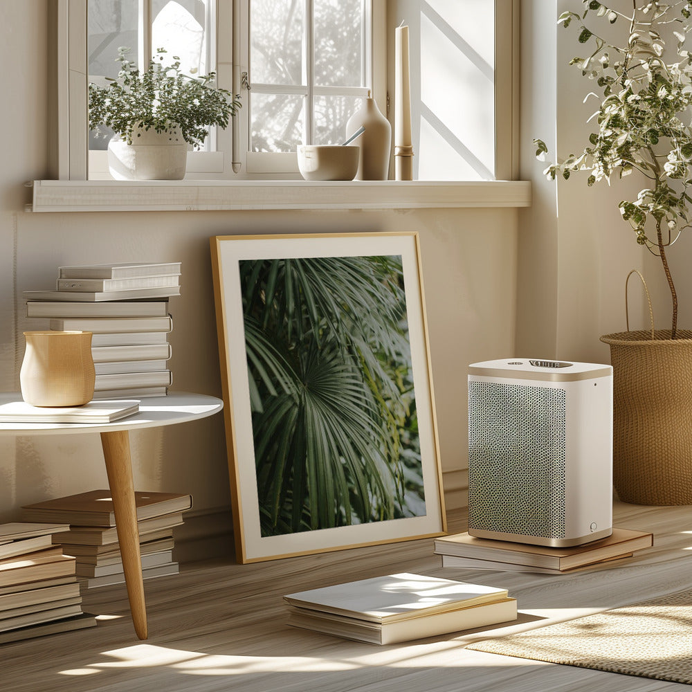 Areca Palm Poster