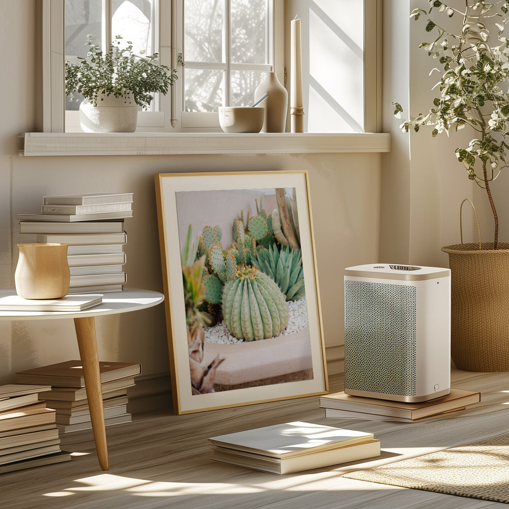 Cactus Love | Marrakech Travel Photography Poster