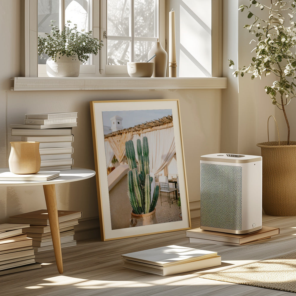 Rooftop Cactus | Morocco Travel Photography Poster