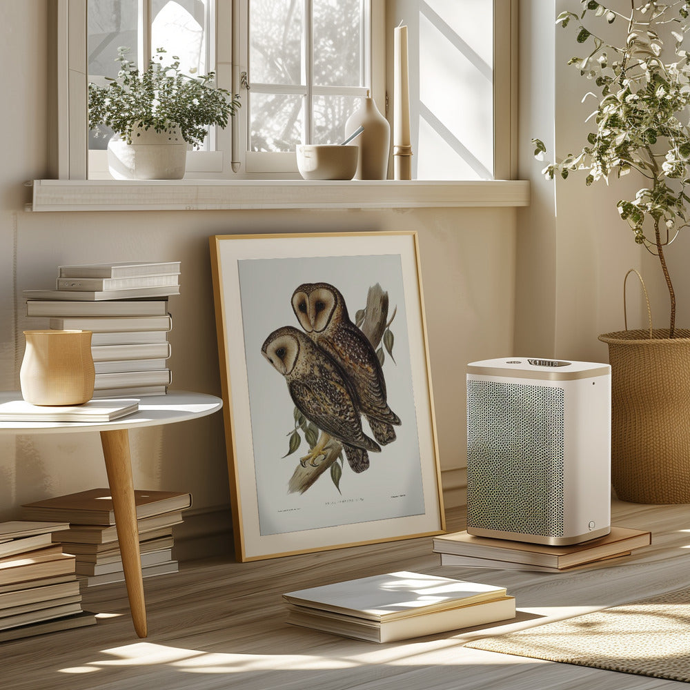 Masked Barn Owl Poster
