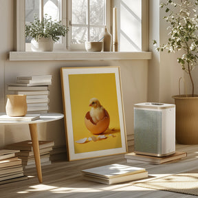 Hatched chicken Poster