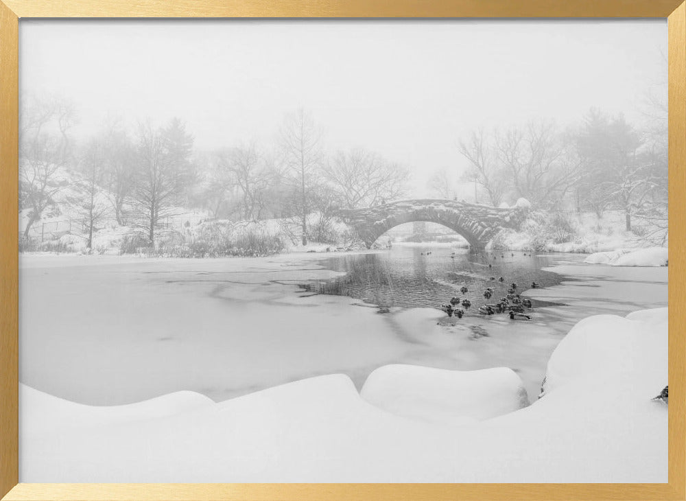 The first snow of central park Poster