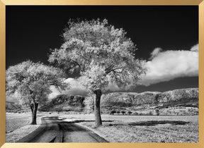 Hohe Wand Poster