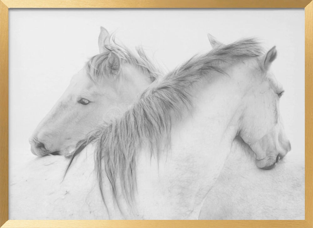 Horses Poster