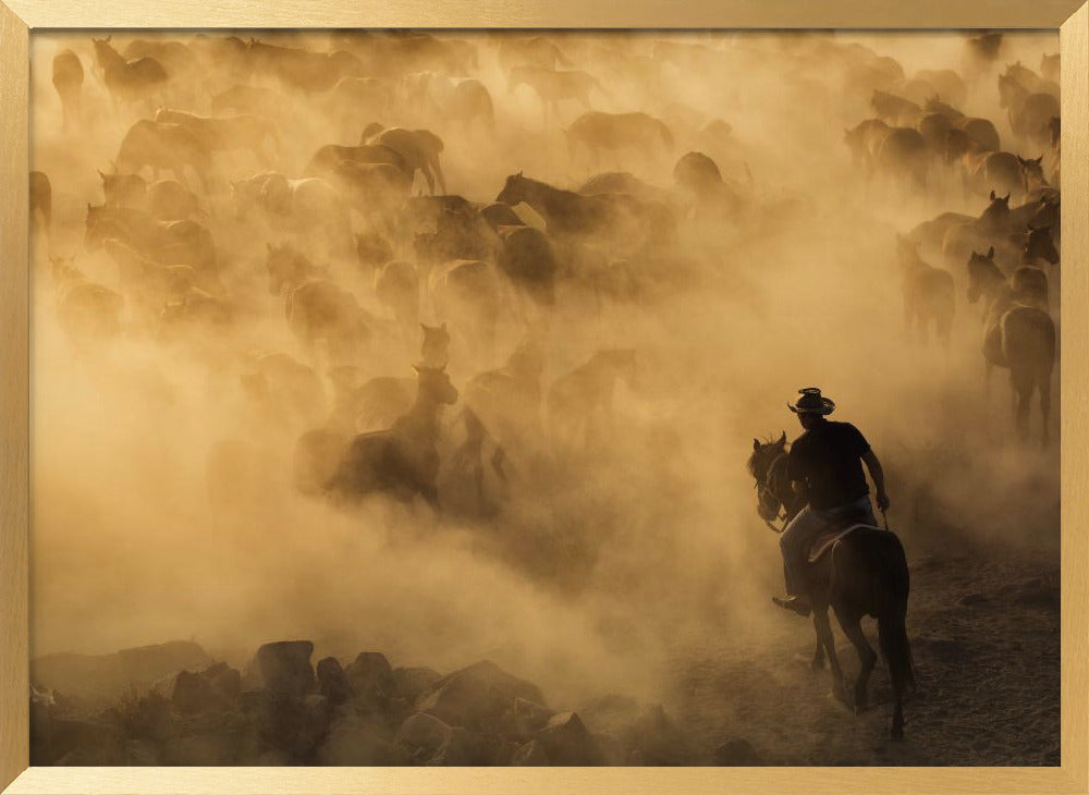 Cappadocia wild horses Poster