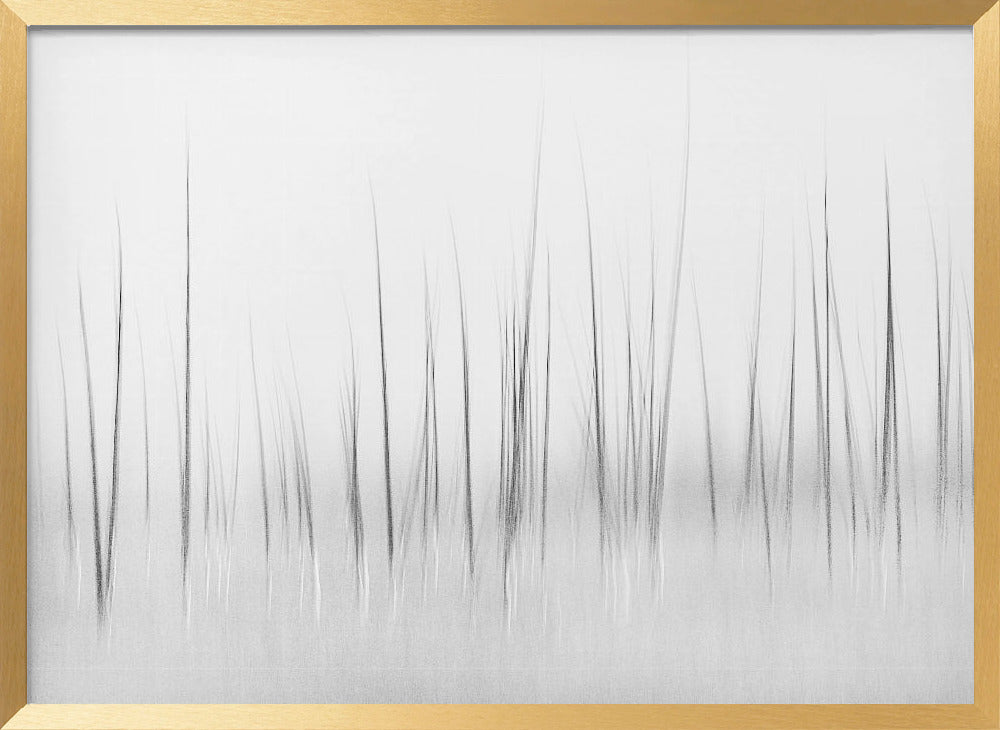 Wintry scenery in Yellowstone Poster