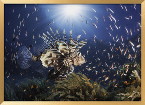 Lionfish Poster