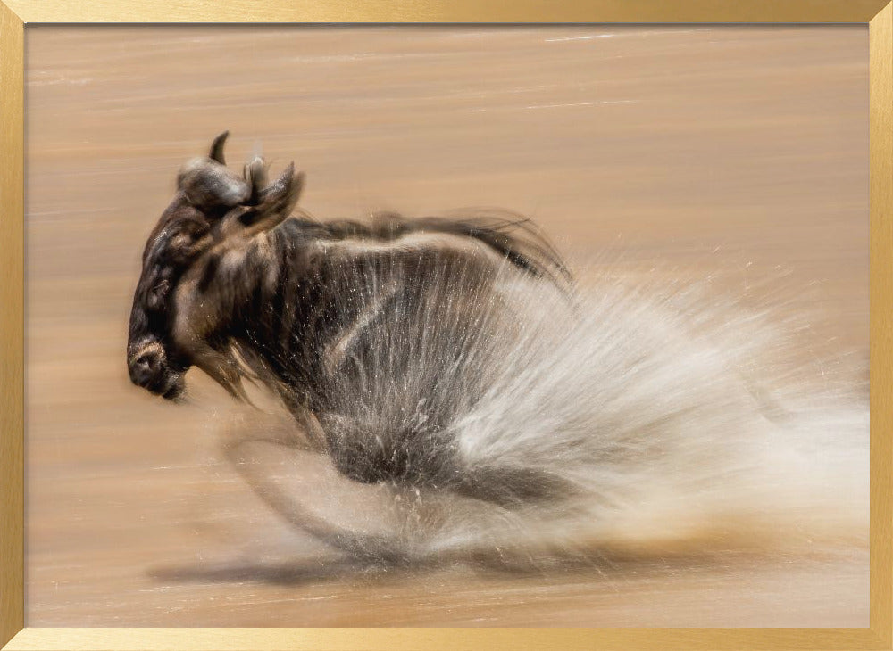 SLOW SHUTTER WILDEBEEST Poster