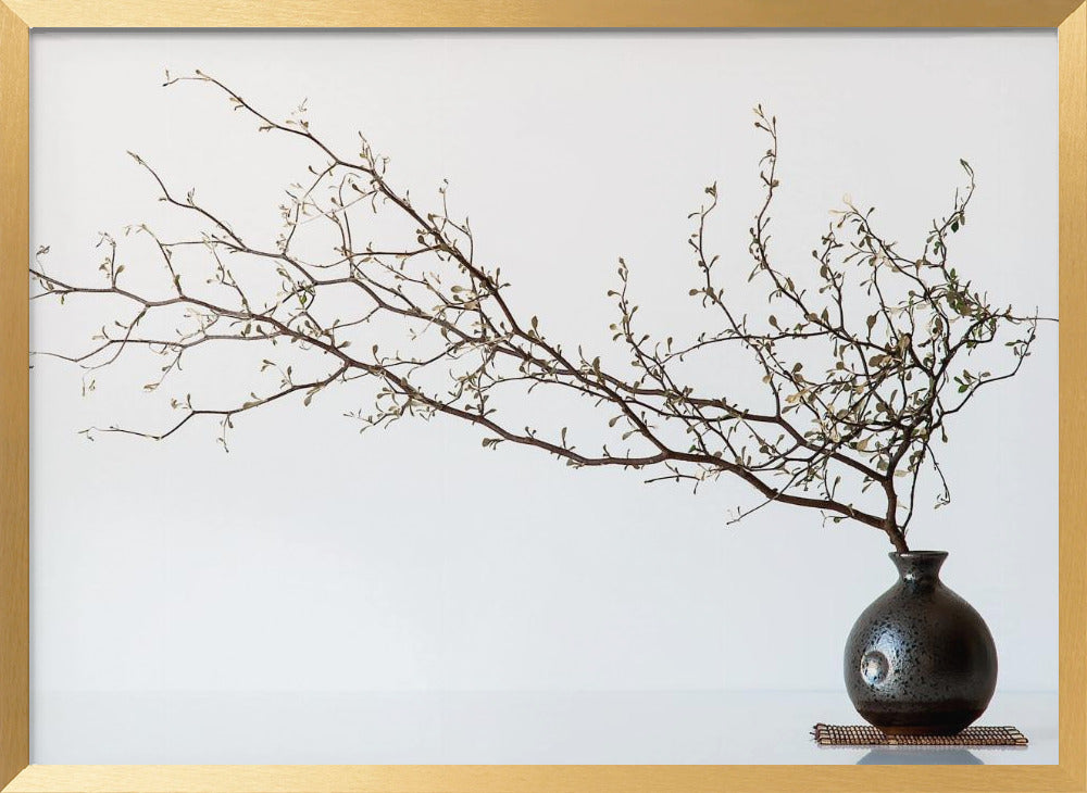 Vase And Branch Poster