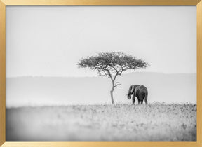 UMBRELLA THORN Poster