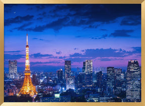 Tokyo night view Poster