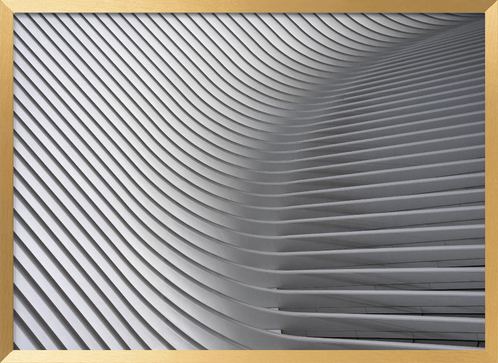 Calatrava Curves # 2 Poster