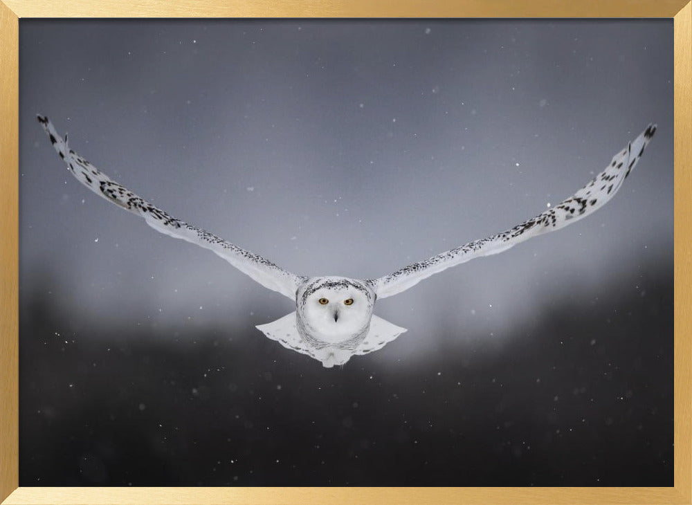 Straight to me Poster