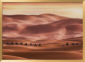 Walk through the desert Poster