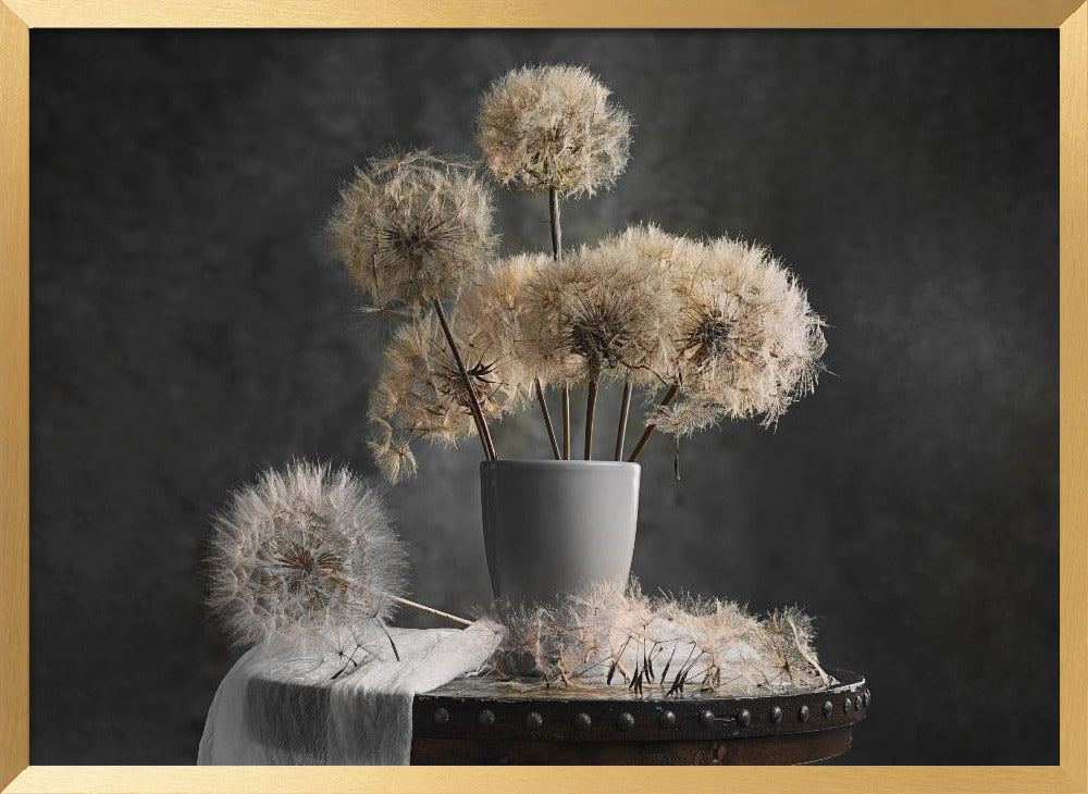 Dandelion Seed Pod Poster