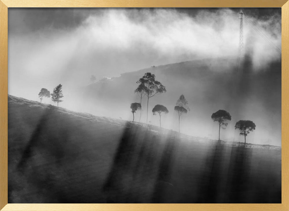 Light at Cukul Poster