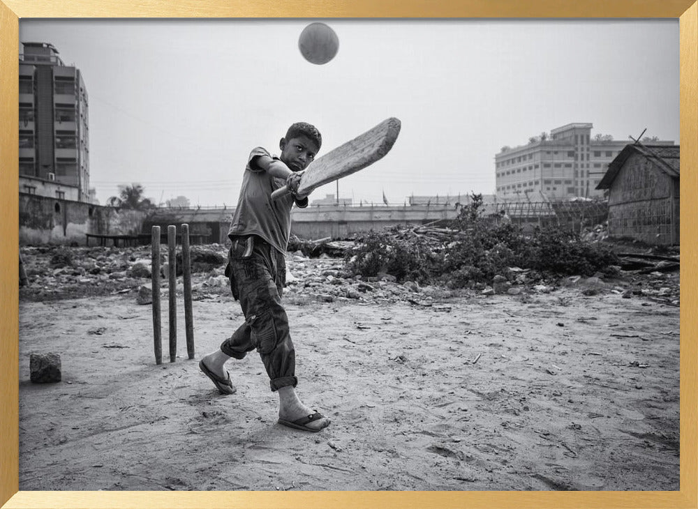 Street cricket Poster