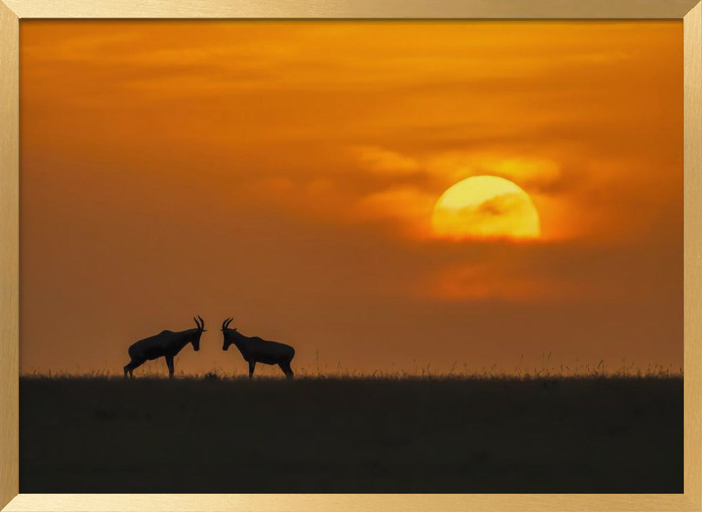 At The Sunset Poster