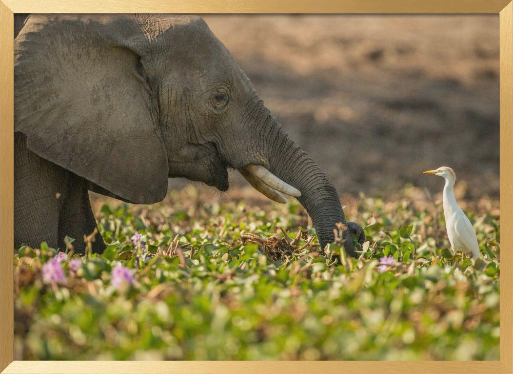 MY LITTLE FRIEND Poster