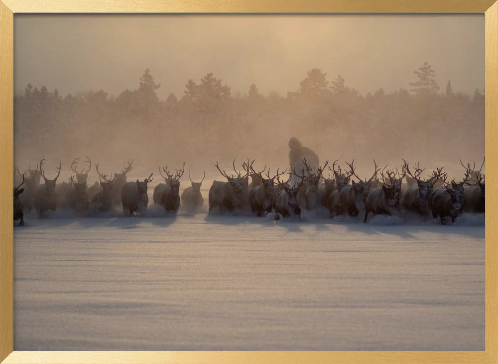 The herd II Poster