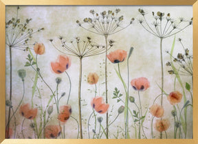 Poppy Meadow Poster