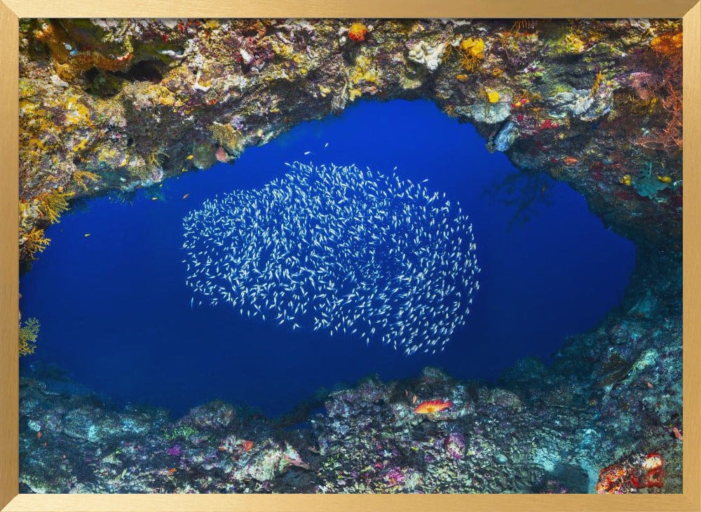 Underwater cave Poster