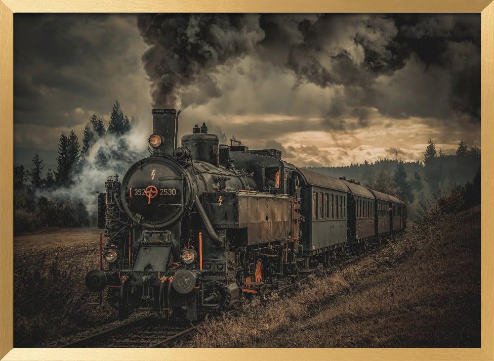 Gold digger train Poster