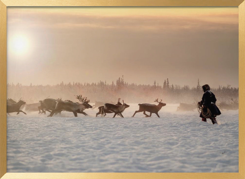 Reindeer hunter Poster