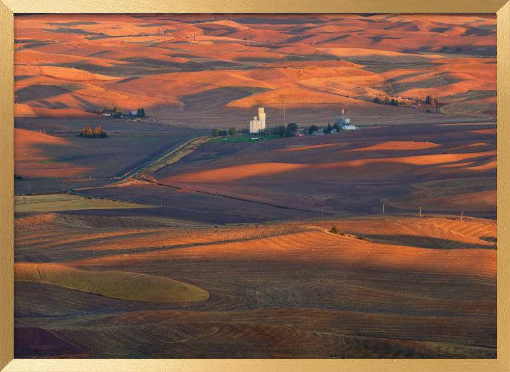 Golden Palouse Poster