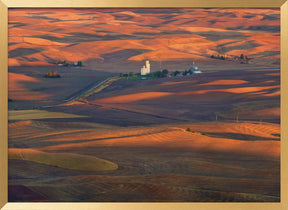 Golden Palouse Poster