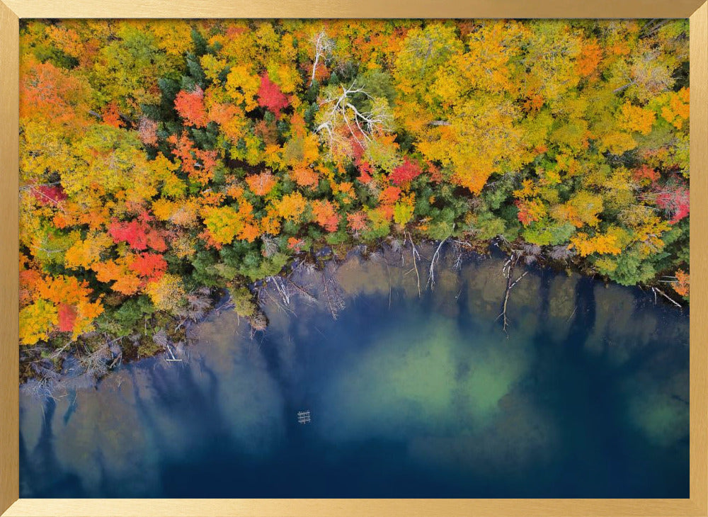 Autumn Pond Poster