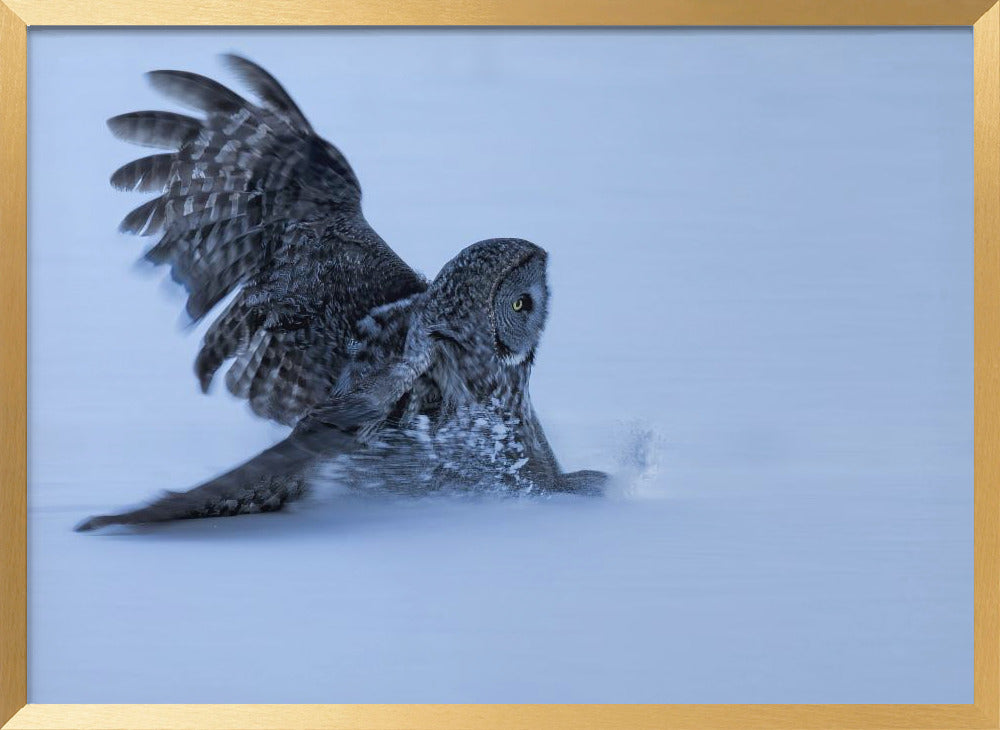 Sliding in The Snow Poster