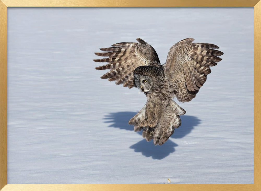 Just Before The Catch Poster